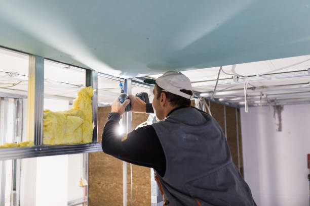 Best Types of Insulation in Mustang, OK